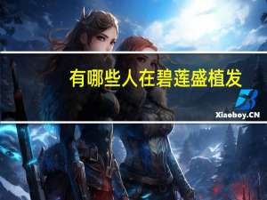 有哪些人在碧莲盛植发(碧莲盛植发在舒城哪)