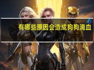 有哪些原因会造成狗狗滴血