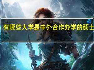 有哪些大学是中外合作办学的硕士项目