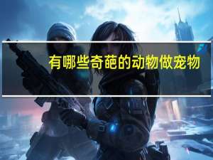 有哪些奇葩的动物做宠物