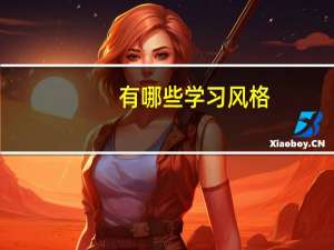 有哪些学习风格？