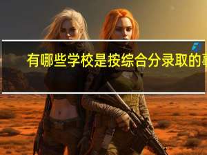 有哪些学校是按综合分录取的事