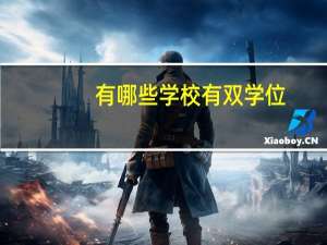 有哪些学校有双学位