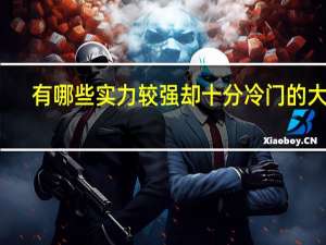 有哪些实力较强却十分冷门的大学