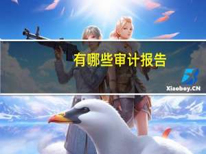 有哪些审计报告