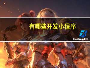 有哪些开发小程序