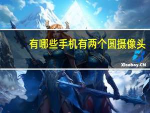 有哪些手机有两个圆摄像头