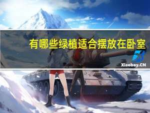 有哪些绿植适合摆放在卧室