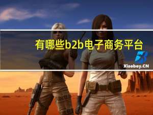 有哪些b2b电子商务平台