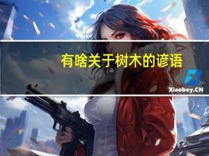 有啥关于树木的谚语