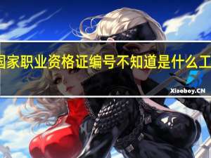有国家职业资格证编号不知道是什么工种怎么办