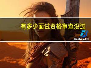 有多少面试资格审查没过