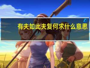 有夫如此夫复何求什么意思（夫复何求什么意思）