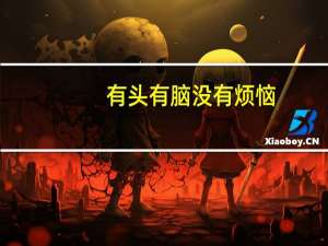 有头有脑没有烦恼（有头有脑）
