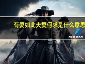 有妻如此夫复何求是什么意思