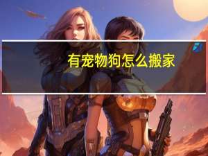 有宠物狗怎么搬家