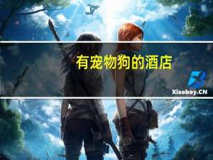 有宠物狗的酒店