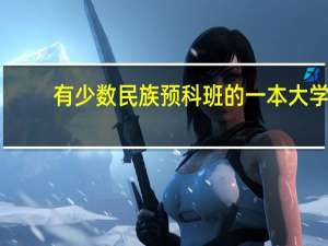 有少数民族预科班的一本大学