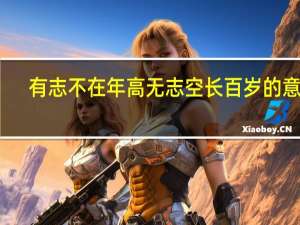 有志不在年高无志空长百岁的意思