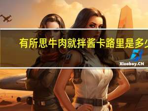 有所思牛肉就拌酱卡路里是多少