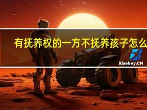 有抚养权的一方不抚养孩子怎么办