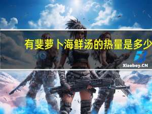 有斐 萝卜海鲜汤的热量是多少