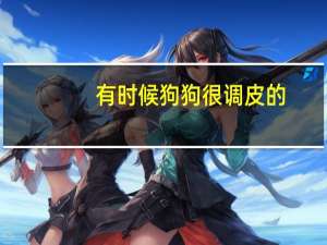 有时候狗狗很调皮的