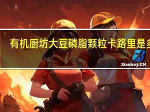 有机厨坊 大豆磷脂颗粒卡路里是多少