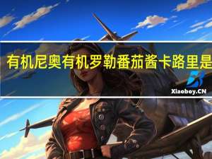 有机尼奥 有机罗勒番茄酱卡路里是多少