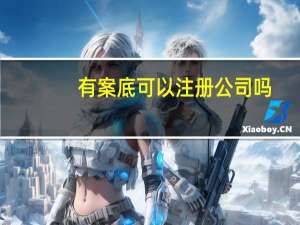 有案底可以注册公司吗