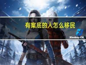 有案底的人怎么移民