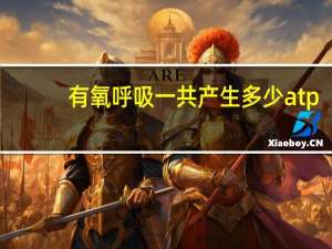 有氧呼吸一共产生多少atp