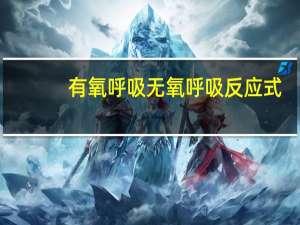 有氧呼吸无氧呼吸反应式