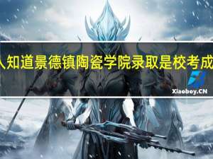 有没有人知道景德镇陶瓷学院录取是校考成绩加高考成绩，还是只要校考过了，然后按高考成绩排名呢