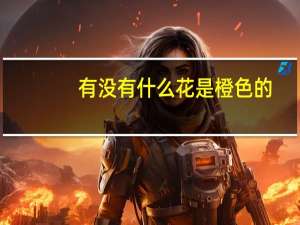 有没有什么花是橙色的