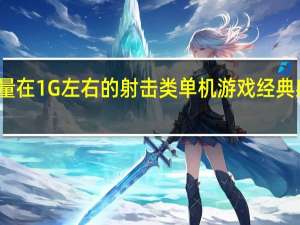 有没有容量在1G左右的射击类单机游戏 经典射击类单机游戏