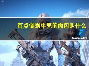 有点像蜗牛壳的面包叫什么