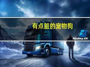 有点脏的宠物狗