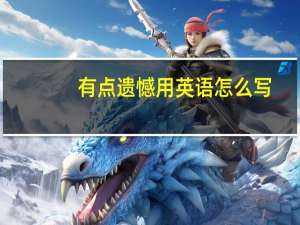 有点遗憾用英语怎么写