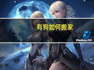 有狗如何搬家