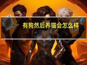 有狗然后养猫会怎么样