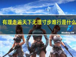 有理走遍天下无理寸步难行是什么意思