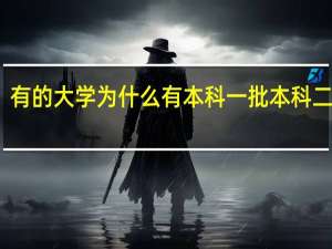 有的大学为什么有本科一批本科二批啊