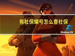 有社保编号怎么查社保