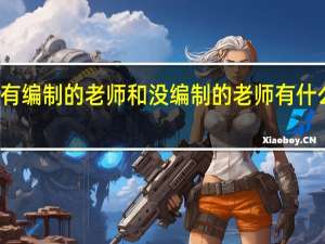 有编制的老师和没编制的老师有什么区别