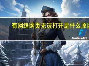 有网络网页无法打开是什么原因（ie无法打开网页）
