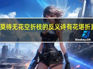 有花堪折直须折莫待无花空折枝的反义诗 有花堪折直须折莫待无花空折枝