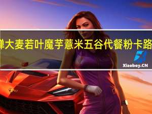 有蝉 大麦若叶魔芋薏米五谷代餐粉卡路里是多少
