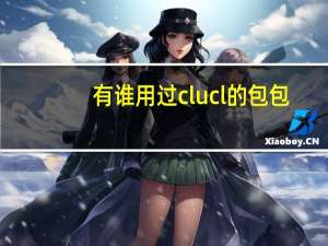 有谁用过clucl的包包，质量怎么样