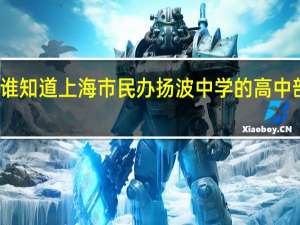 有谁知道上海市民办扬波中学的高中部怎么样